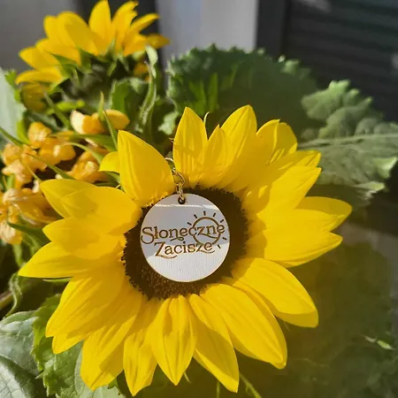 Sloneczne Zacisze Obok Zatora Apartamento